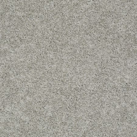 Shaw Floors Nfa/Apg Elegant Twist Elephant Gray