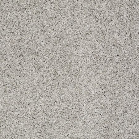 Shaw Floors Nfa/Apg Elegant Twist When In Rome