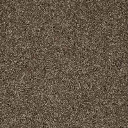 Shaw Floors Nfa/Apg Detailed Elegance II Weathered Wood