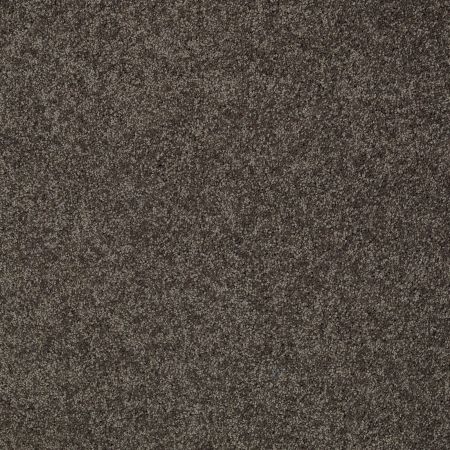 Shaw Floors Nfa/Apg Detailed Elegance III Chocolate