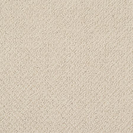 Shaw Floors Nfa/Apg Detailed Statement Loop French Linen