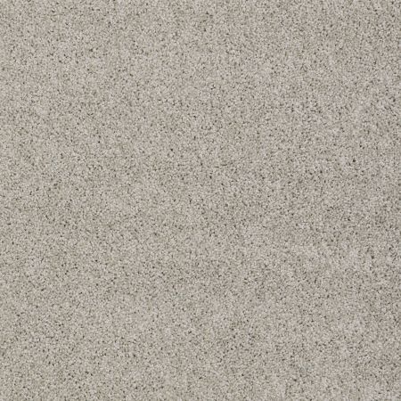 Shaw Floors Nfa/Apg Detailed Elegance I Glaze