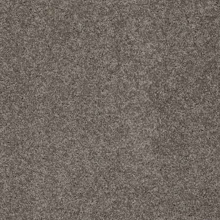 Shaw Floors Nfa/Apg Detailed Elegance I Rustic Elegance