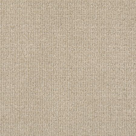 Shaw Floors Nfa Common Ground High Noon