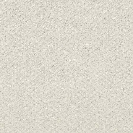 Shaw Floors Nfa Final Thought Serene Still