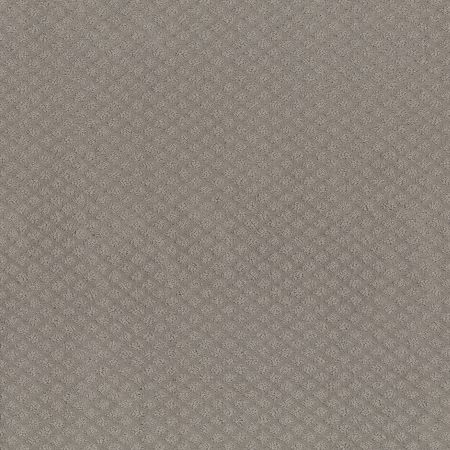 Shaw Floors Nfa Final Thought River Run