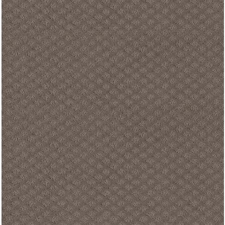 Shaw Floors Nfa Final Thought Ridgeview