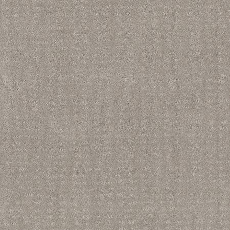 Shaw Floors Nfa Latest Thing Split Sediment