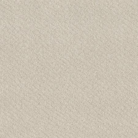 Shaw Floors Nfa Mod Beauty Serene Still