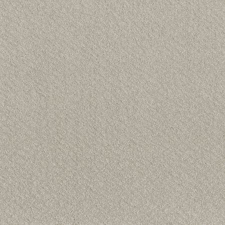 Shaw Floors Nfa Mod Beauty Winters Dawn