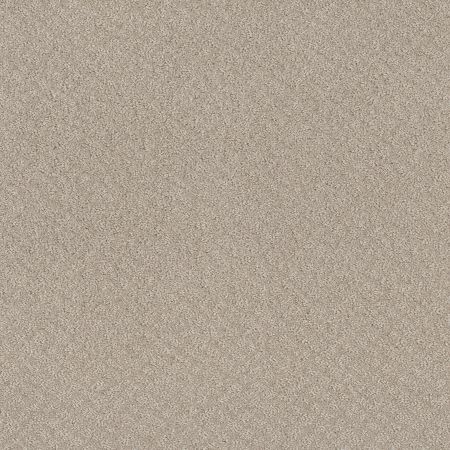 Shaw Floors Nfa Mod Beauty Fossil Path