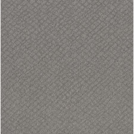 Shaw Floors Nfa Mod Beauty Grey Fox