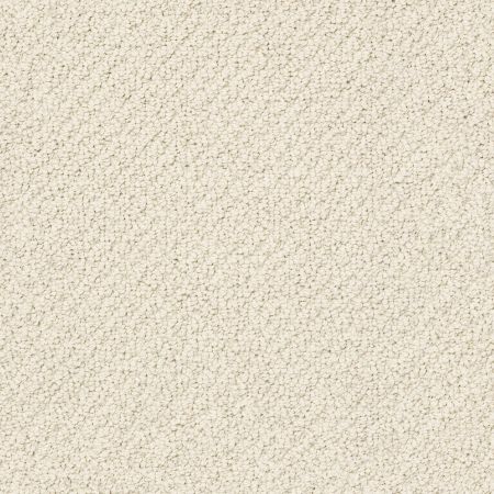 Shaw Floors Nfa Wishful Thinking Alabaster