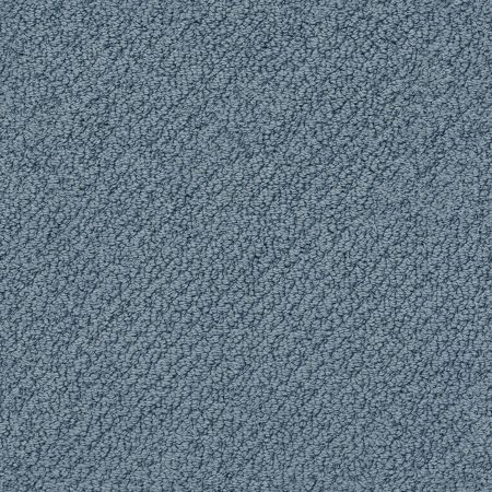 Shaw Floors Nfa Wishful Thinking Royal Navy