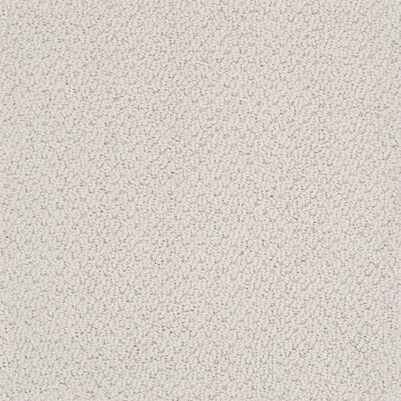 Shaw Floors Nfa Wishful Thinking Morning Mist