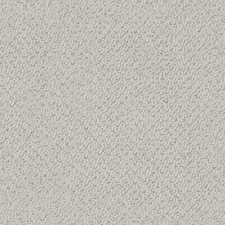 Shaw Floors Nfa Wishful Thinking Cloudy Day