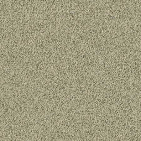 Shaw Floors Nfa Wishful Thinking Mocha