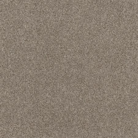 Shaw Floors Pet Perfect Plus Calm Embrace I Desert View