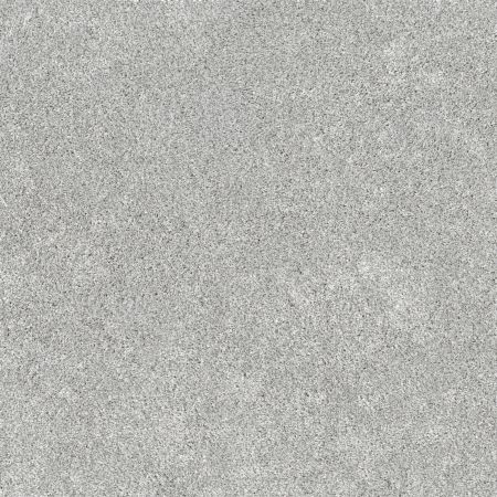 Shaw Floors Pet Perfect Plus Calm Embrace II English Streets