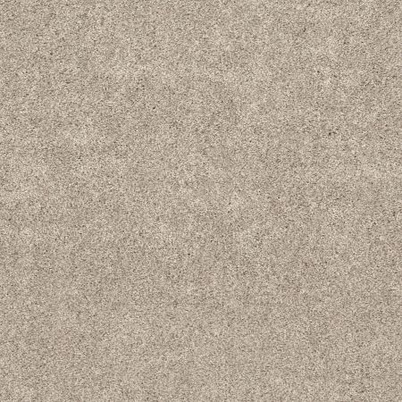 Shaw Floors Pet Perfect Plus Calm Embrace II Kidskin