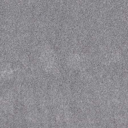 Shaw Floors Pet Perfect Plus Calm Embrace II Silver Lining