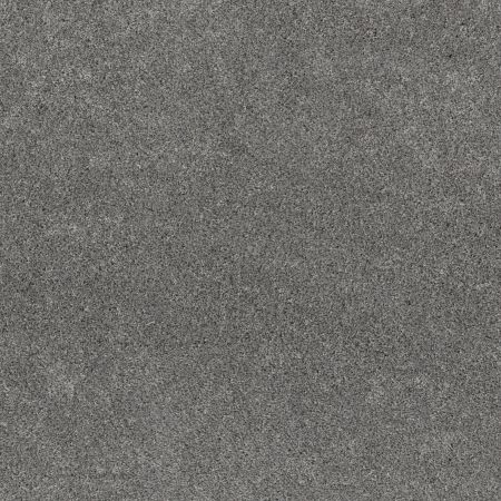 Shaw Floors Pet Perfect Plus Calm Embrace II Harbor Dock