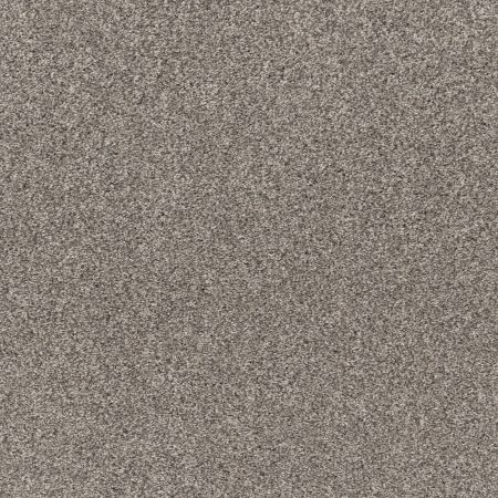 Shaw Floors Pet Perfect Plus Simple Charm I Kidskin