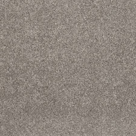 Shaw Floors Pet Perfect Plus Simple Charm II Washed Linen