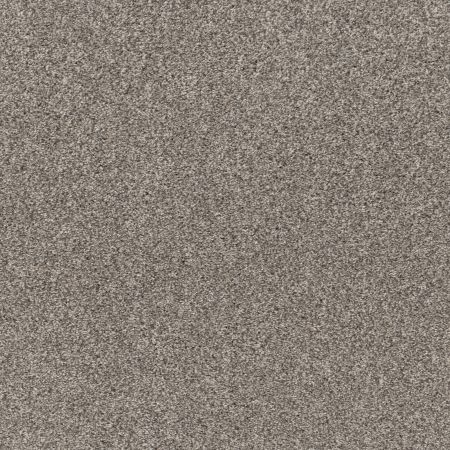 Shaw Floors Pet Perfect Plus Simple Charm II Kidskin