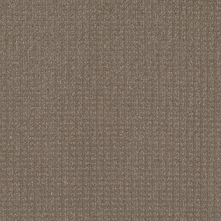 Shaw Floors Nfa Stay Tuned Papoose