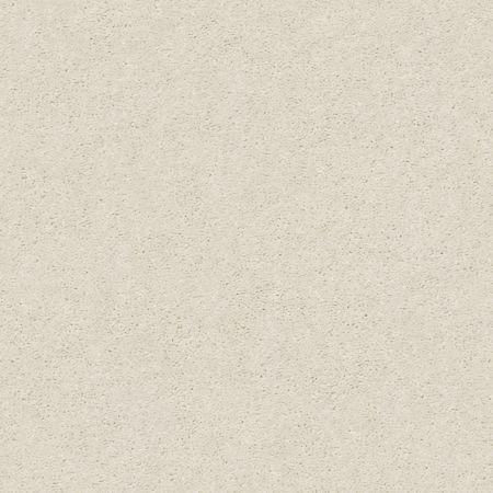 Shaw Floors Nfa Finders Keepers Blizzard