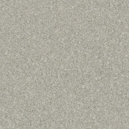 Shaw Floors Nfa Finders Keepers Soft Fleece