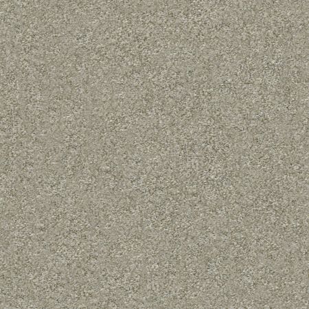 Shaw Floors Nfa Finders Keepers Winter Dunes