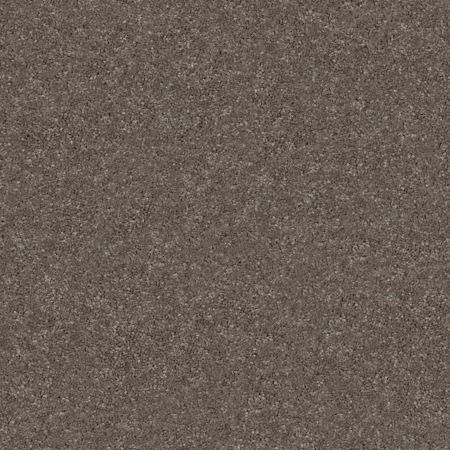 Shaw Floors Nfa Finders Keepers Urban Loft