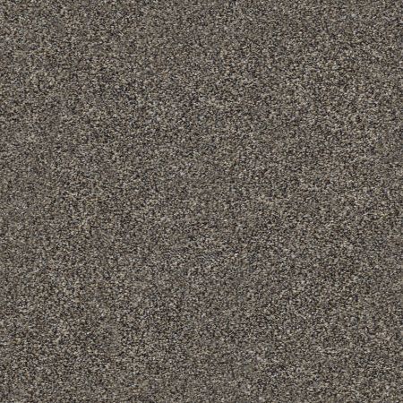 Shaw Floors Nfa Out Of Reach I Beige Bisque