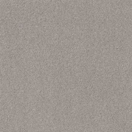 Shaw Floors Nfa Cozy Mist I Cold Winter