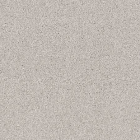 Shaw Floors Nfa Cozy Mist I Free Space