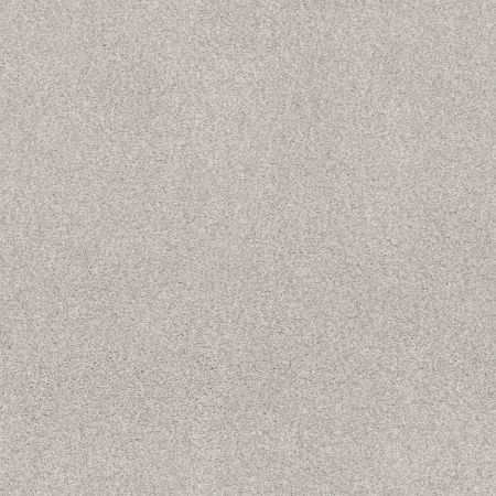 Shaw Floors Nfa Cozy Mist I Minimal