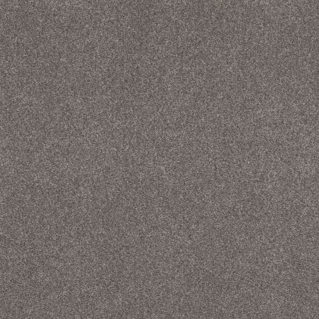 Shaw Floors Nfa Cozy Mist I Well Traveled