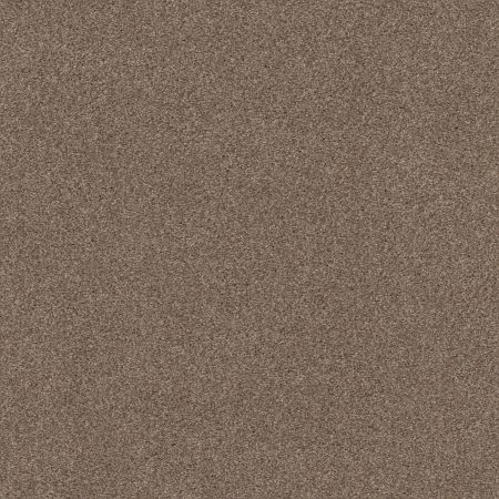 Shaw Floors Nfa Cozy Mist I Tumbleweed