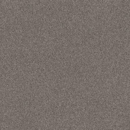 Shaw Floors Nfa Cozy Mist I Ridgeview