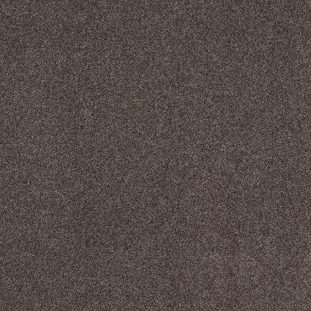 Shaw Floors Nfa Cozy Mist I Burma Brown
