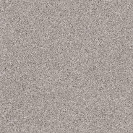 Shaw Floors Nfa Cozy Mist II Cold Winter