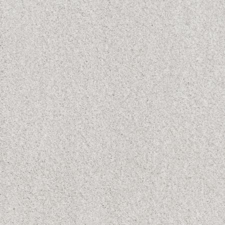 Shaw Floors Nfa Cozy Mist II Snowfall