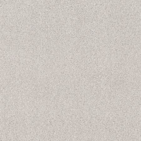 Shaw Floors Nfa Cozy Mist II Free Space