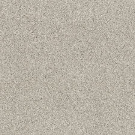 Shaw Floors Nfa Cozy Mist II Thoughtful