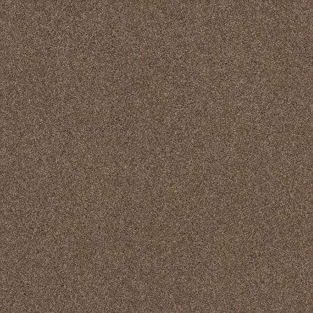 Shaw Floors Nfa Cozy Mist II Raw Wood