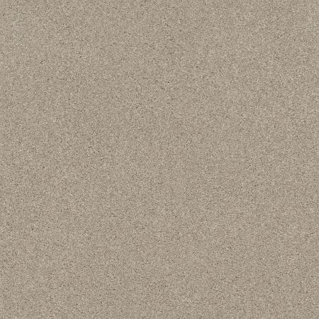 Shaw Floors Nfa Cozy Mist II Sandstone