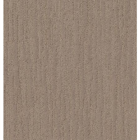 Shaw Floors Nfa Walk This Way Tumbleweed