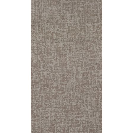 Shaw Floors Nfa Star Gaze Cold Winter